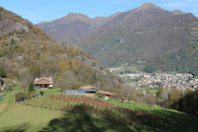  Agriturismo Il Mirtillo B,B  Пастуро
